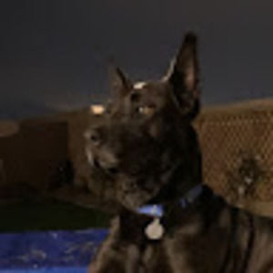 Meet your Posher, London